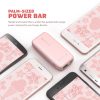 RAVPower RP-PB060 Power Bank