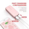 RAVPower RP-PB060 Power Bank