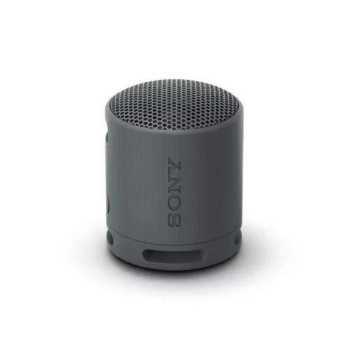 Sony SRS-XB100 Bluetooth hangszóró (fekete)