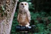 Tamron 150-500mm F/5-6.7 Di III VC VXD Fuji X Objektív