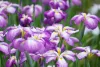 TAMRON 18-300mm F/3.5-6.3 DI III-A VC VXD Fuji Objektív