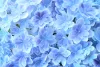 Tamron 90mm F/2.8 Di III Macro VXD Sony E Objektív