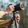 Falcam TreeRoot gyorskioldó tripod - Treeroot Quick Lock Lite Tripod [T00A4903]