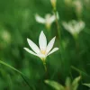 Viltrox AF 56mm F/1.2 PRO E Objektív –Sony E Portré-objektív