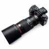 Canon Sony E adapter